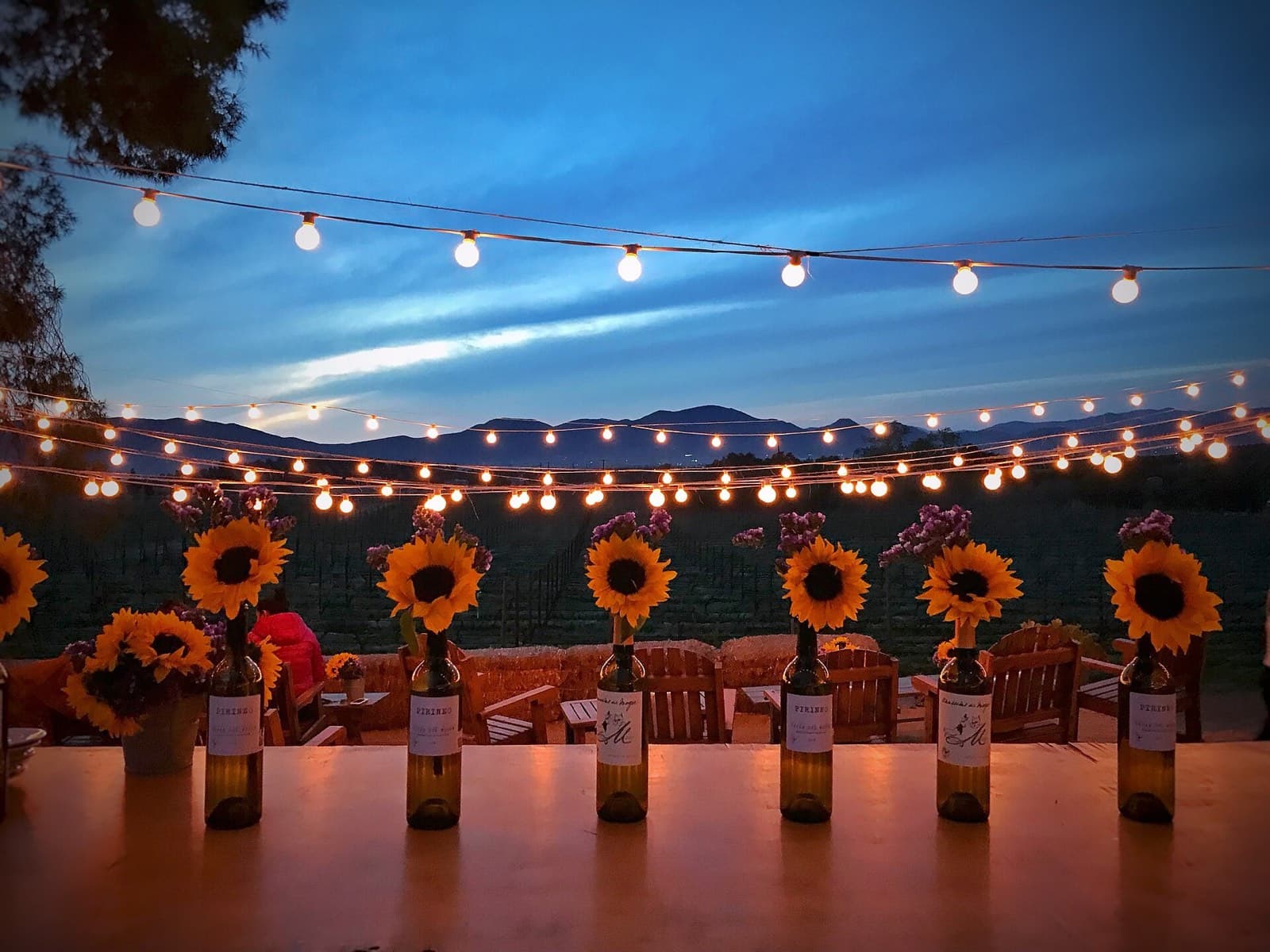 Mesa con botellas y girasoles bajo series de luces al anochecer frente al viñedo en Valle de Guadalupe