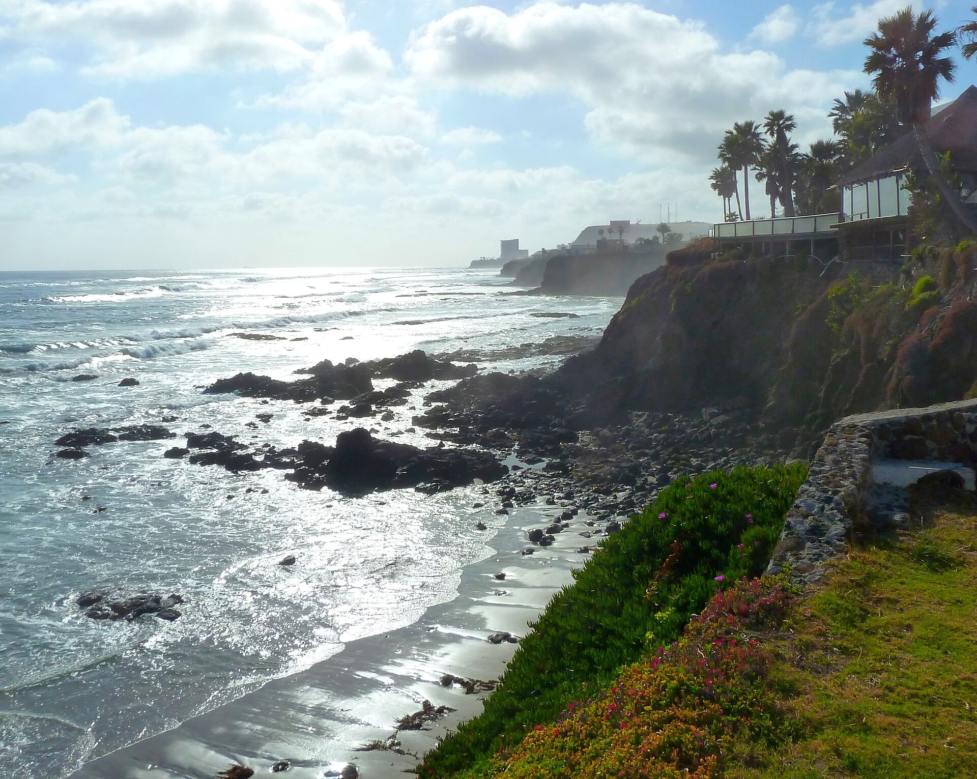 Costa rocosa de Rosarito con acantilado verde, palmeras y oleaje del Pacífico a contraluz