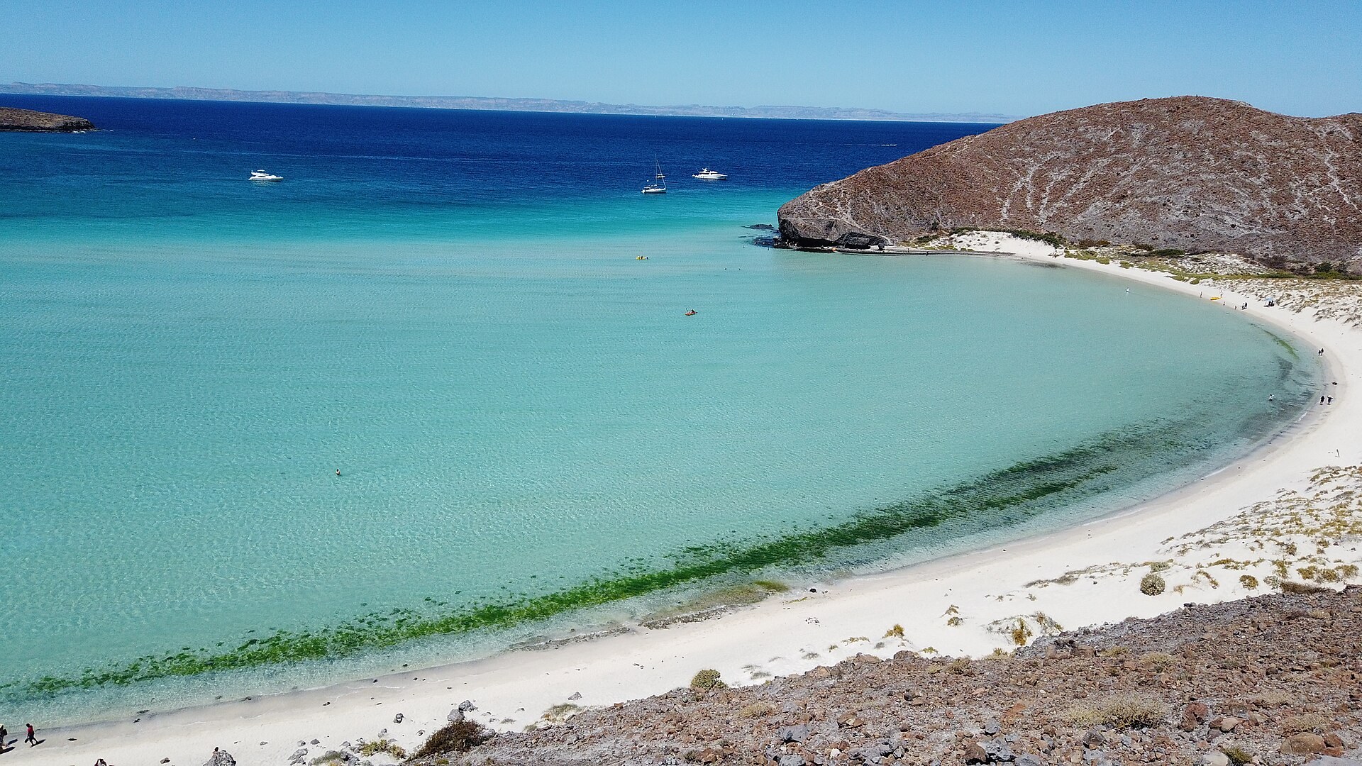 Vista aérea de Playa Balandra con aguas turquesa poco profundas y arena blanca